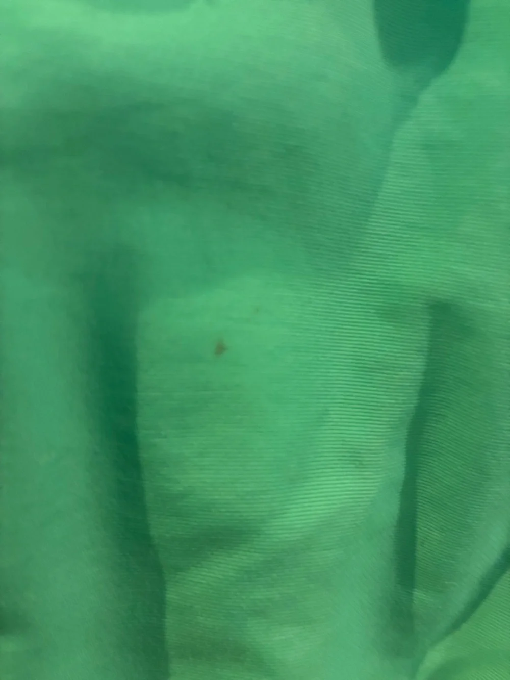 Charter‎ Club Teal Hooded Trench Coat